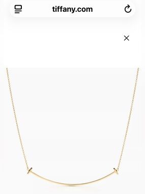 Tiffany & Co. Gold Curved T Bar Necklace